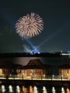 <p>The fireworks from the balcony at Polynesian were incredible!</p>